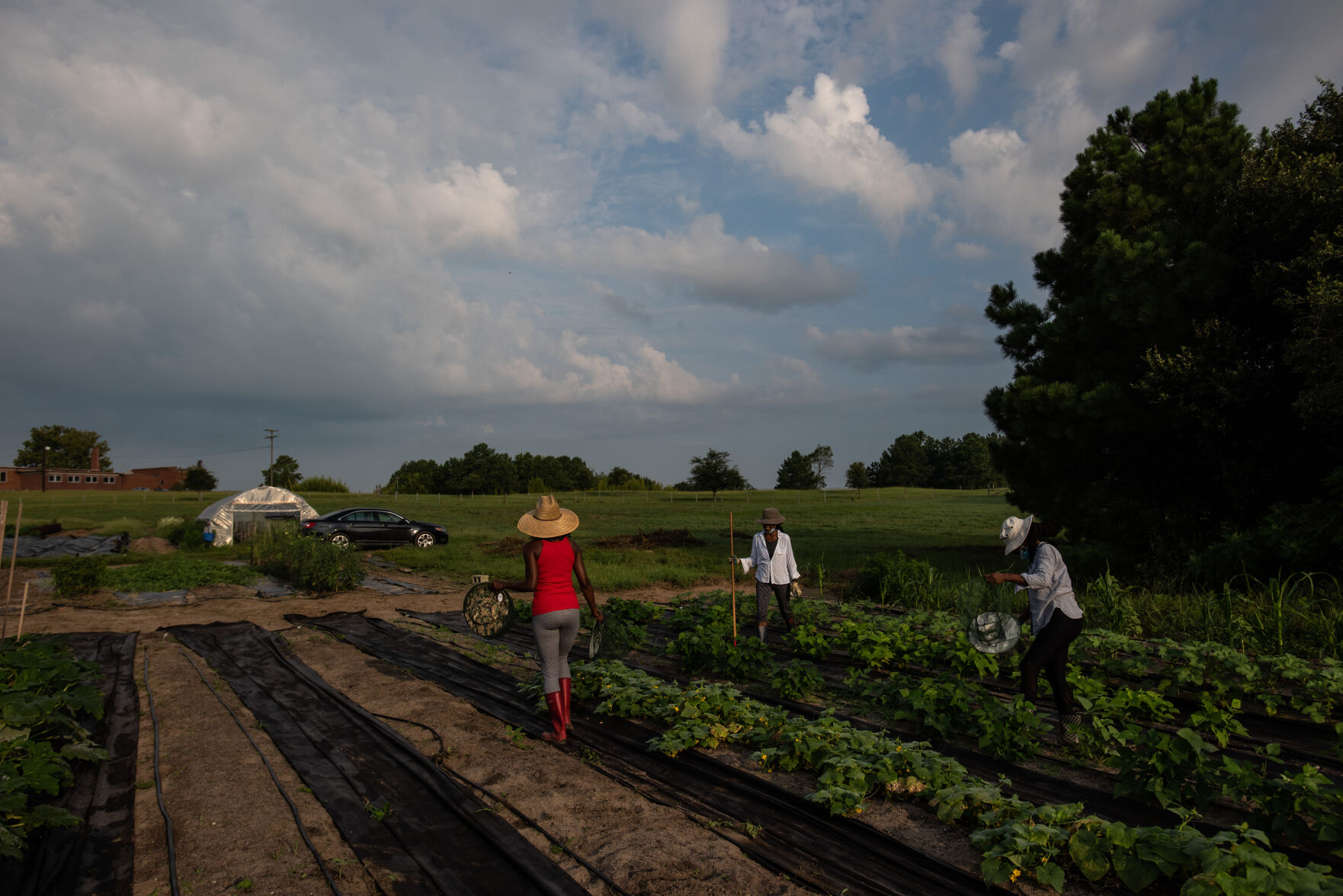 THphoto_FarmaSIS-2.jpg